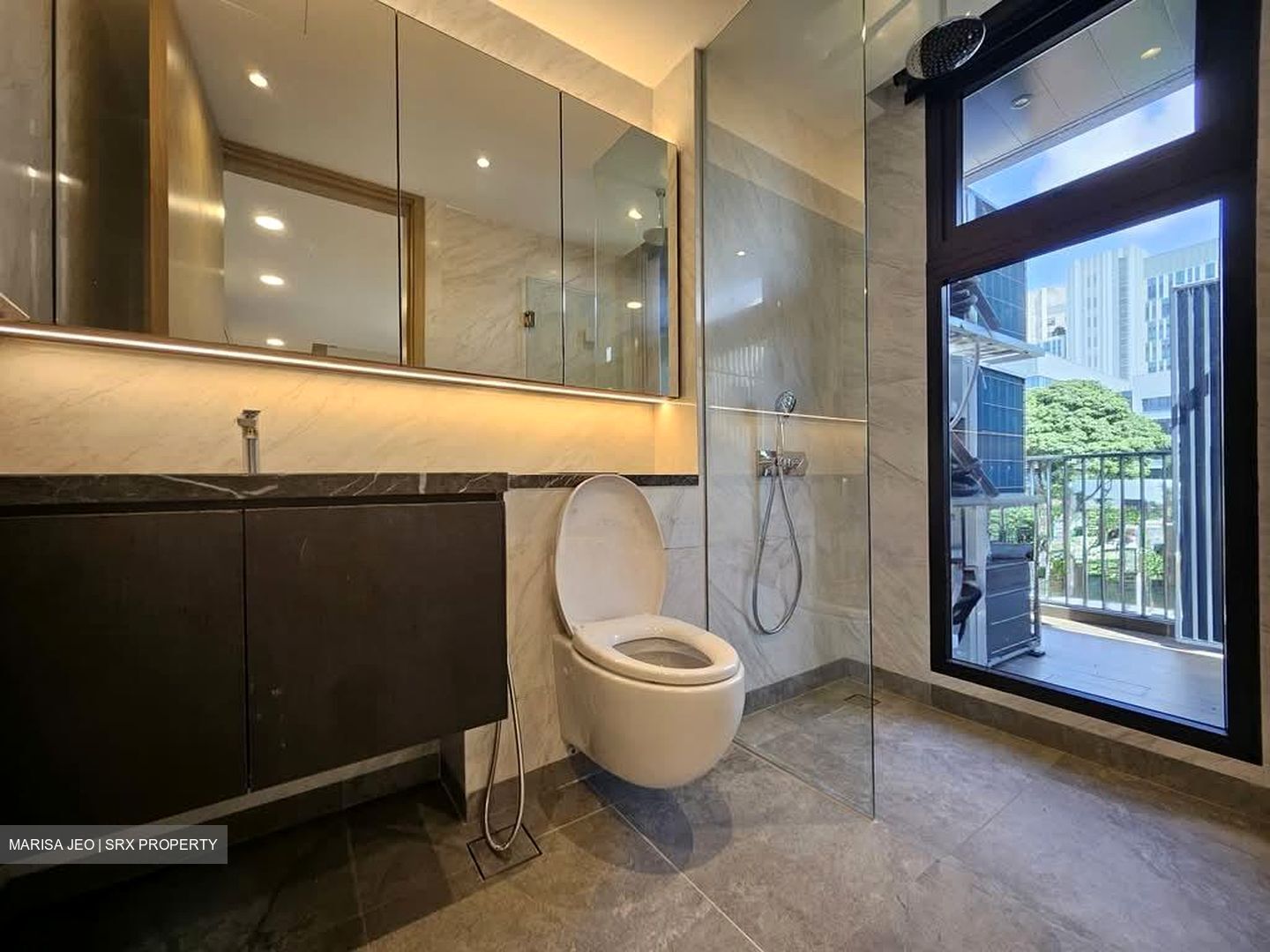 Shrewsbury Road (D11), Terrace #532844501